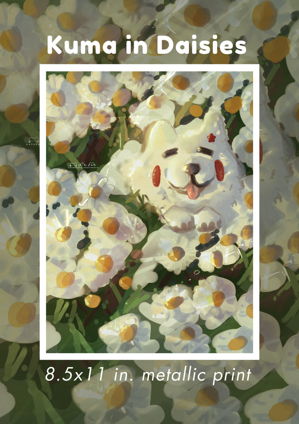 Kuma in Daisies (Preorder)